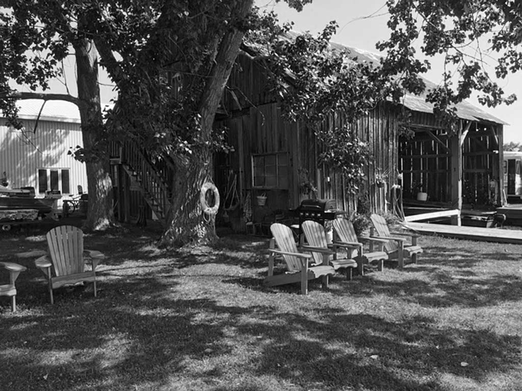 lineup of muskoka chairs sitting on grass under the shade of large tree